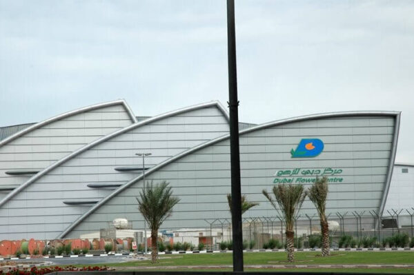 Business Setup In Dubai Flower Center Freezone (DFC)