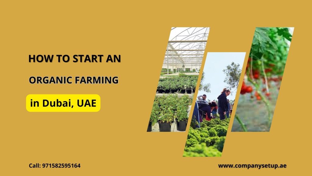 Start an Organic Farming in Dubai